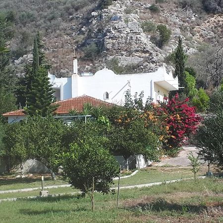 Villa Dunes 350M From The Sandy Beach Kalogria  Exteriér fotografie