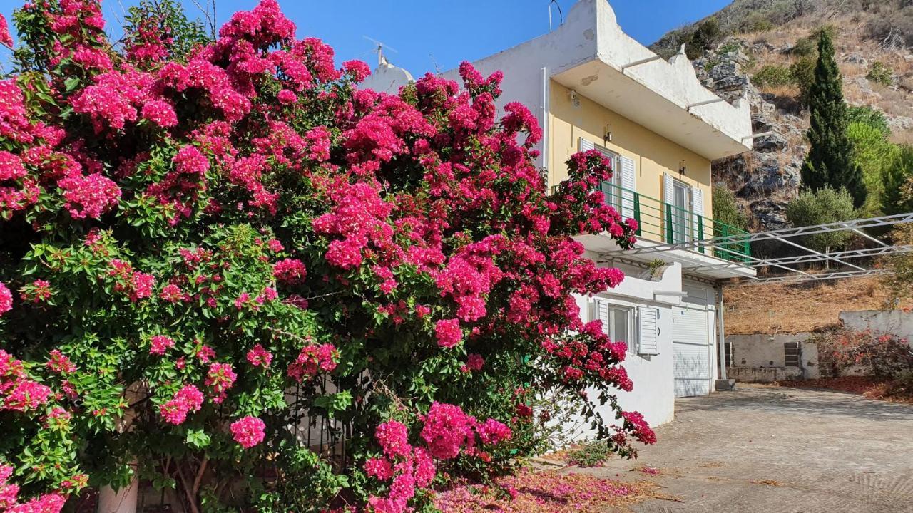 Villa Dunes 350M From The Sandy Beach Kalogria  Exteriér fotografie