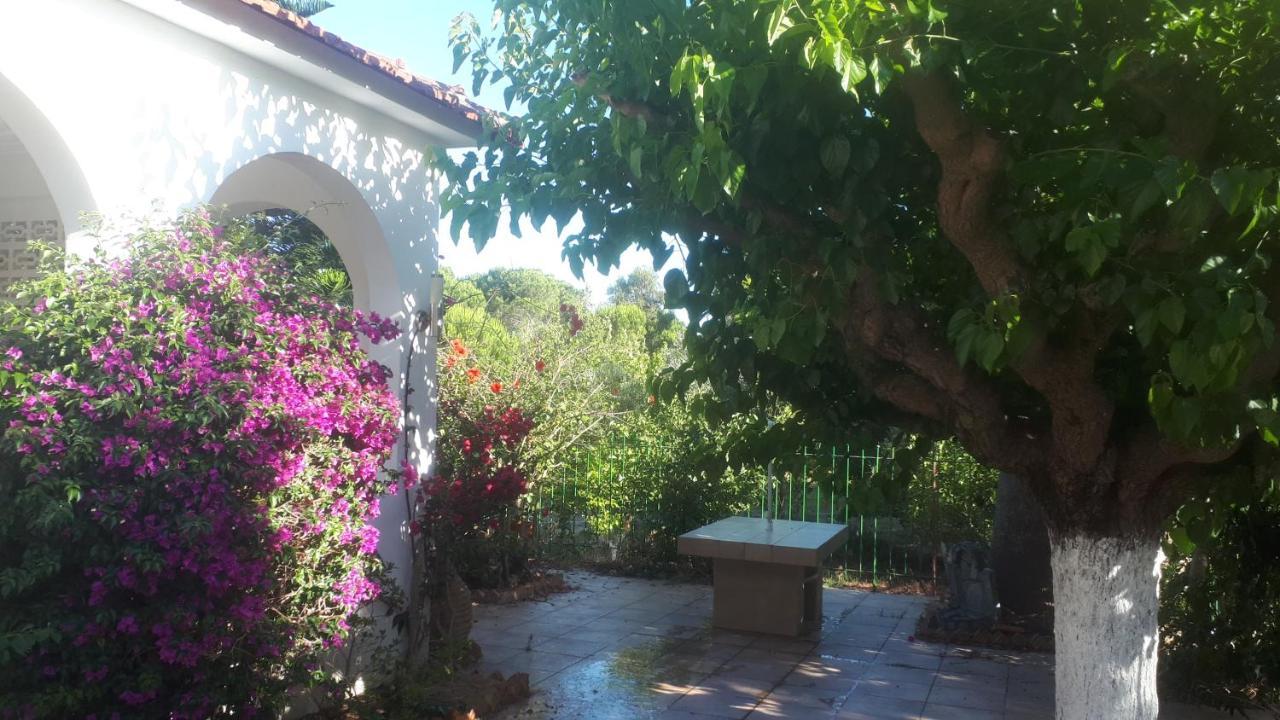 Villa Dunes 350M From The Sandy Beach Kalogria  Exteriér fotografie