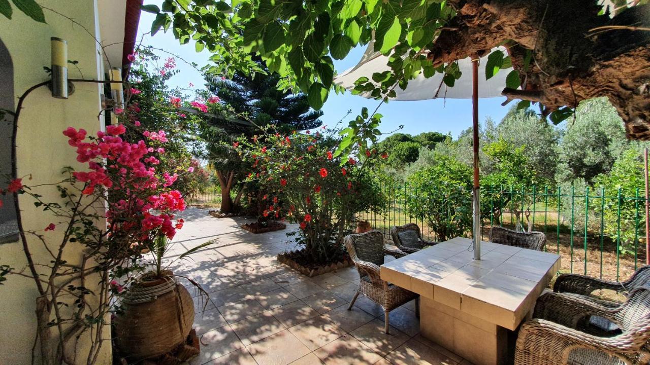 Villa Dunes 350M From The Sandy Beach Kalogria  Exteriér fotografie